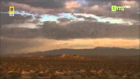 NHỮNG LOÀI CÓ NỌC ĐỘC NGUY HIỂM NHẤT THẾ GIỚI   YouTube 2