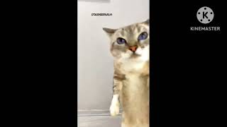 Preview 1280 S2 Part 72