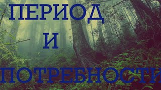 ПЕРИОД ⌛ПОТРЕБНОСТИ 🧭ПЕРСПЕКТИВЫ 📽 Таро терапия 💎