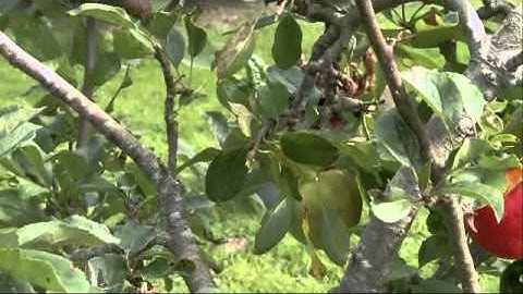 Documentary - James Nesbitt