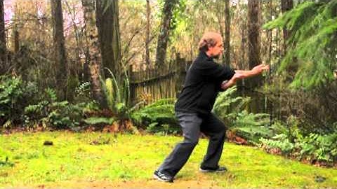 Taiji 5-Section Solo Part 1