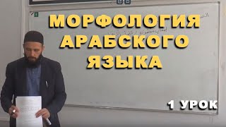 Морфология арабского языка / Урок 1