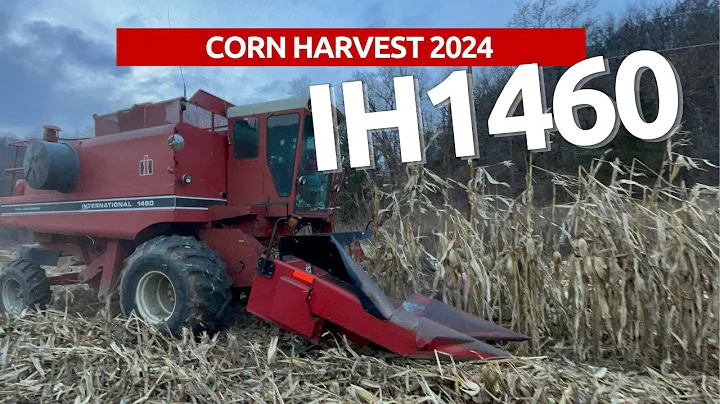 Corn Harvest 2024 | IH 1460 Combine