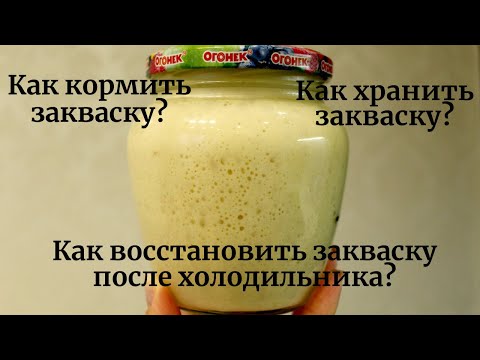 ☆ Как кормить и хранить пшеничную закваску для хлеба ☆ Восстановление закваски после холодильника