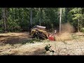 Forestry Mulching Along a Creek Trail