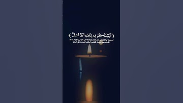 سورة الأنعام(حاتم المالكي) #قرآن_كريم #المصحف قراءة هادئة