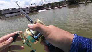 Swimbait Fishing  with my new Shimano Calcutta Conquest 401