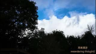 思维漫游422（如果大脑只不过就是一个肉质的计算机，那么AGI指日可待）