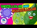 🔬Can ONE CELL Be Alive? | UNICELLULAR and MULTICELLULAR Organisms|Educational Videos| Happy Learning