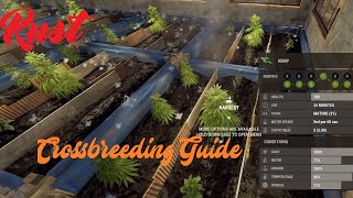 Rust 2022 Step-by-Step Crossbreeding Guide