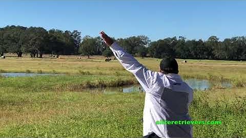 2017 NRC 3rd Series TD