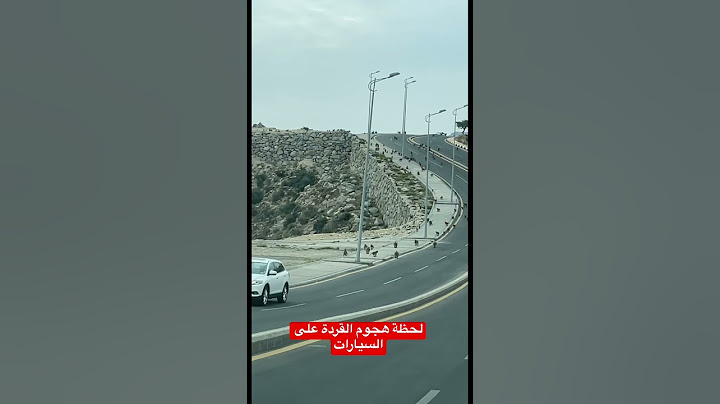 شاهد لحظة هجوم القردة على السيارات في الطريق😬#اكسبلور #ترند_السعودية #سياحة #explore #trending