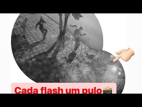 FORAM ROUBAR MAS AS VÍTIMAS ERAM FOTÓGRAFOS. CADA FLASH ERA UM PULO. - Apoio Policial.