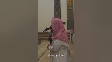 سورة النور 35 38 الشيخ محمد اللحيدان#fyp #viral #قرآن #سورة النور #محمد اللحيدان #تلاوة