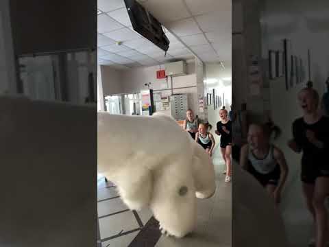 Белый мишка Пломбир Хабаровск поздравил команду гимнасток #белыймишка #хабаровск