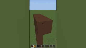 Minecraft Lion Tutorial #minecraft #minecraftshorts #youtubeshorts