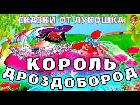 Король Дроздобород — Сказка Братьев Гримм | Лучшие сказки про Принцесс | Сказки Братьев Гримм