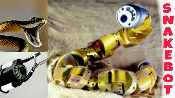 Snakebot