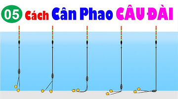 05 Cách Cân Phao Câu Đài Cực Kỳ Dễ Hiểu Cho Người Mới Tập Câu 👉 Hướng Dẫn Cân Phao Câu Đài 2023