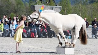 Best funniest horses of the week - Funny And Cute horses Video Compilation 2025🐴#20
