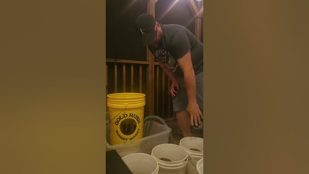 Gold Nugget Bucket Test,, New Hampshire Gold Prospecting WAM YouTube