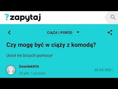 Wideo: Wielkie zmiany w schroniskach w Nowym Jorku to więcej zwierząt znajdujących się na wiecznych domach