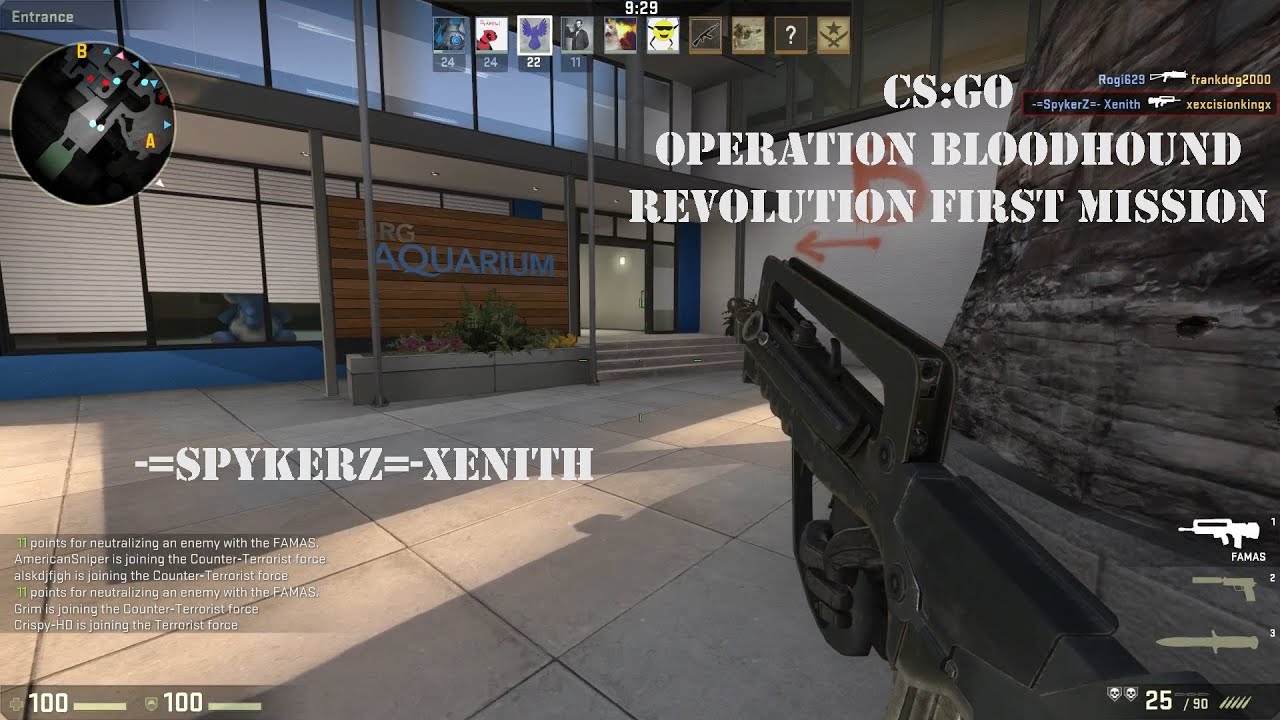 Cs Go Neue Operation Bloodhound – MIBTR