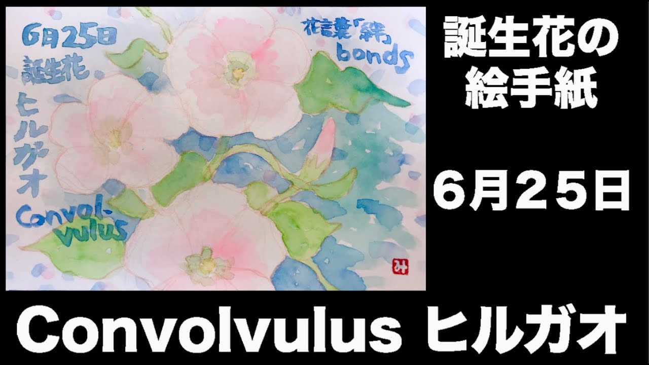 誕生花の絵手紙 ６月25日 Convolvulus ヒルガオ Youtube