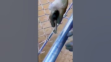 The weaving process of the mesh guardrail