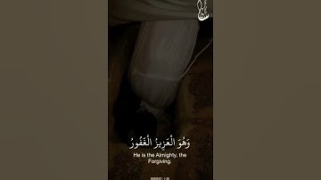 سورة الملك 💜💗 #القران_الكريم #حالات_واتس #لايك #اكسبلور #متابعه