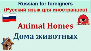 РКИ Дома животных Russian Animal Homes