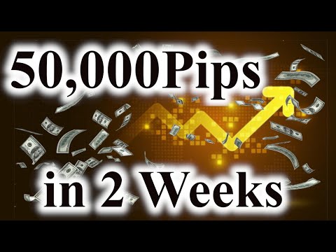 INSANE RESULTS | Forex Trading Group Update | LEARN & EARN for BEGINNERS