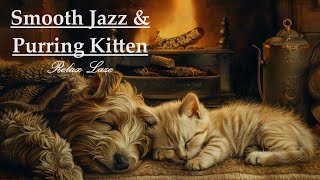 🎺 Lullaby Lounge: Sleepy Furballs & Smooth Jazz Tunes 🐈🐕🎶 🐾#jazz&blues #livestream #relaxation