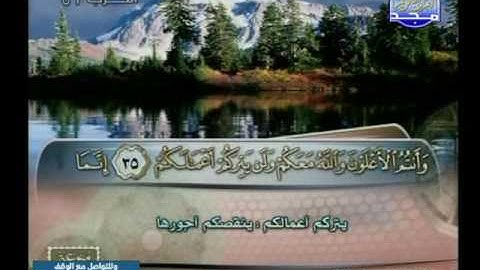 سورة محمد 10 الى الفتح 17 ـــ يوسف الشويعى