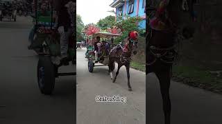 Naik Delman Istimewah