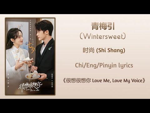 青梅引 (Wintersweet) - 时尚 (Shi Shang)《很想很想你 Love Me, Love My Voice》Chi/Eng/Pinyin lyrics