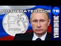 Откуда Путин берёт деньги на коронакризис? (Познавательное ТВ, Артём Войтенков)