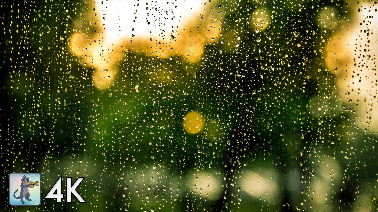 meditation music zen 2 HOUR Rain and Thunder in 4K - White Noise Sounds for Sleeping, Studying, Relaxation & Meditation