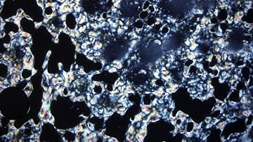 decyloxybenzylidene toluidine crystal to smectic to nematic to isotropic and back