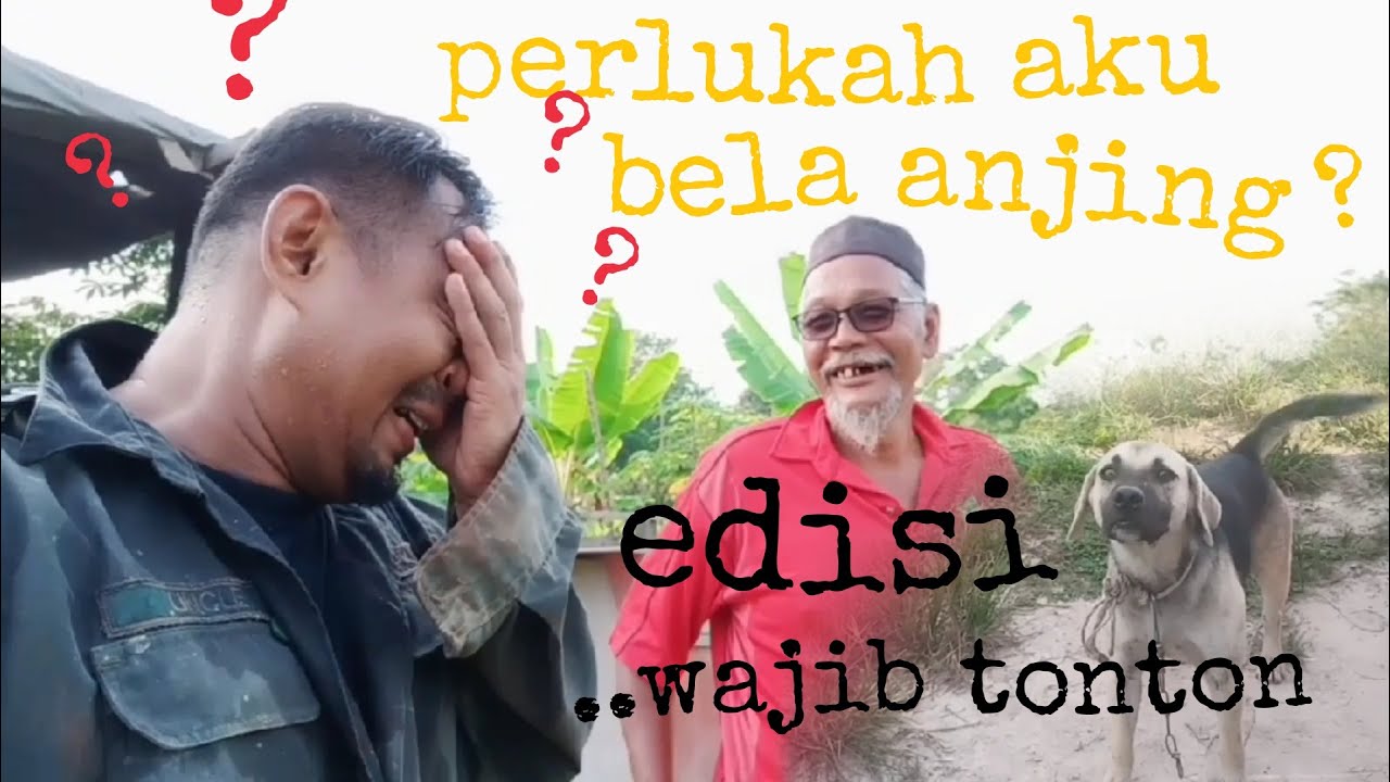 [Episod74] cara bela anjing di kebun untuk halau babi dan kera? ini yang pak cik rahim ceritakan.