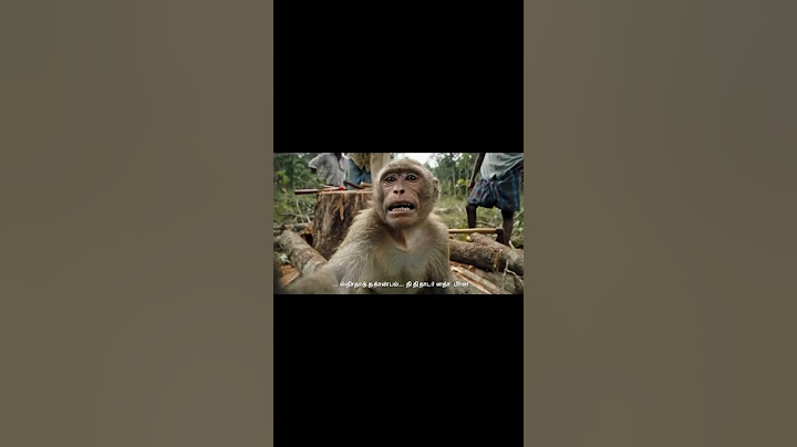 This is my first vlog.. paathadhuku nanri follow panirunga 🐵. #kuranguvlogs #monkeyvlog #tamilvlog