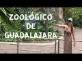 CONOCIENDO UNO DE LOS MEJORES ZOOLOGICOS DE LATINOAMERICA!! Zoologico de Guadalajara