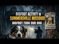 Terrifying Night in Summersville Missouri | Screams in the Woods (Their Dog Never Came Back