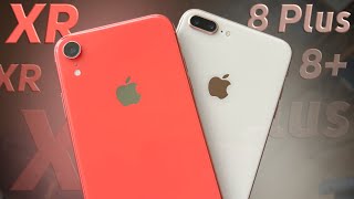 Подробное сравнение iPhone 8+ и XR
