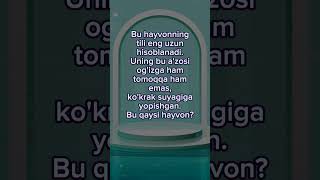 Savol Va Topishmoqlar №11 #Shorts