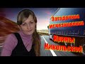 Загадочное исчезновение Ирины Никольской