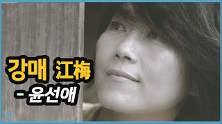 [김의철] 윤선애 - 강매(江梅) 2012