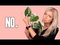 DON'T Invest in these Rare Houseplants!
