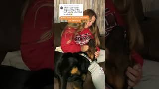 The Purring Rottweiler