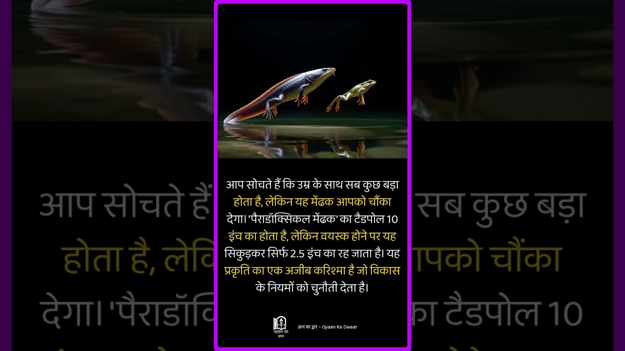 बढ़ने के बजाय छोटा होने वाला मेंढक | The Frog That Shrinks as It Grows